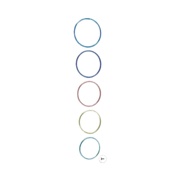 Fliering fixation ring set stainless steel ophthalmic fixation rings