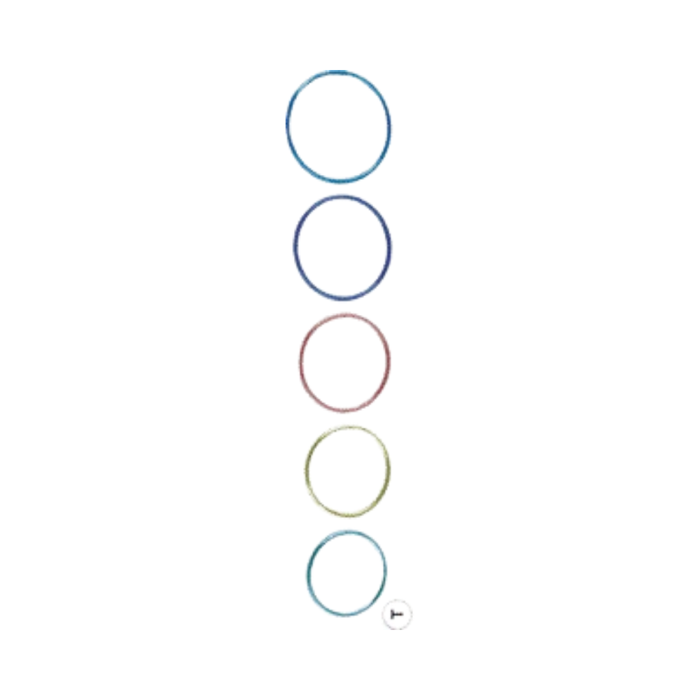 Fliering fixation ring set stainless steel ophthalmic fixation rings