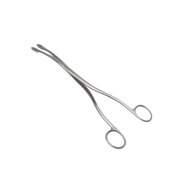 Winter Placenta And Ovum 11 Inch Curved gynecological forceps